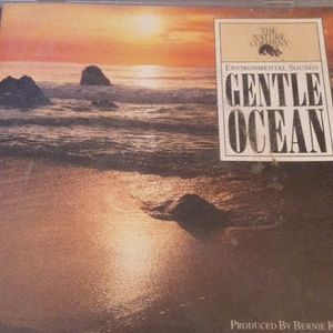 The Nature Company: Gentle Ocean